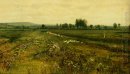 Un paisaje prado extenso con los gansos por un arroyo 1892