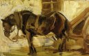 Petite étude Horse 1905