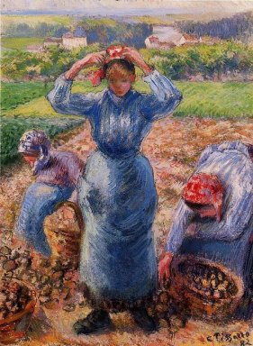 paysans récolte de pommes de terre 1882