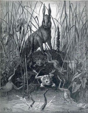 Hare And The Frogs