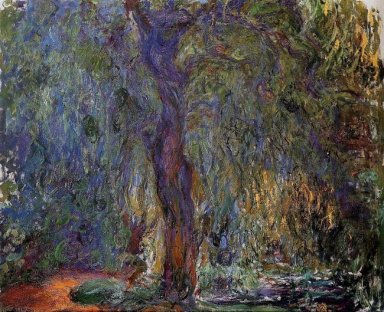 Weeping Willow 3 1919