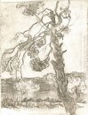 Een Weer Geklopt Pine Tree 1889