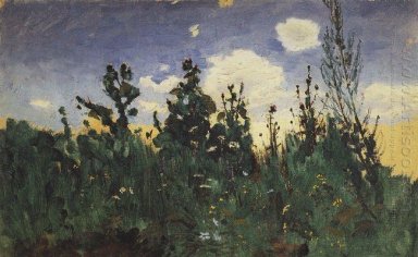 vilda gräs 1875