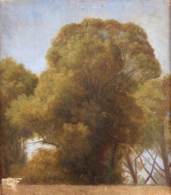 Étude des arbres 1849