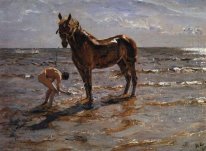 Zwemmen Een Paard 1905