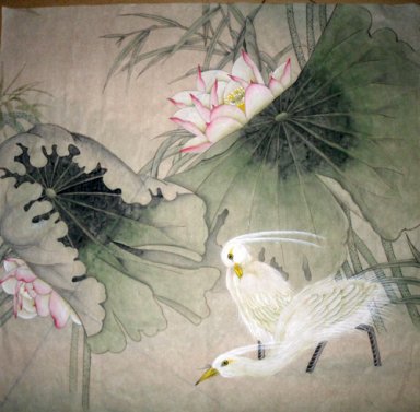 Lotus & pássaros - pintura chinesa