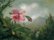 Orchid and Hummingbird near a Mountain Waterfall