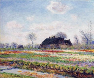 Tulip Fields at Sassenheim dintorni di Leiden 1886