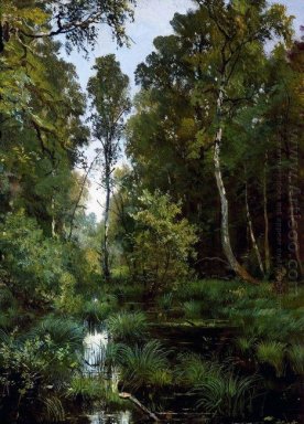 Overgrown Teich am Waldrand Siverskaya 1883