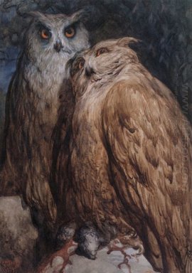 Dua Owls