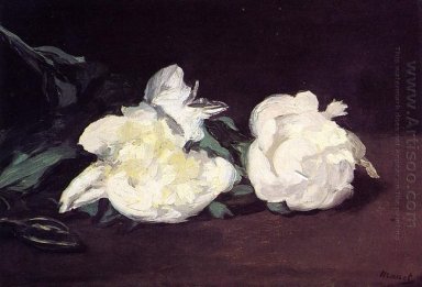 branch of white peonies and secateurs 1864