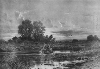 Pond Overgrown 1884