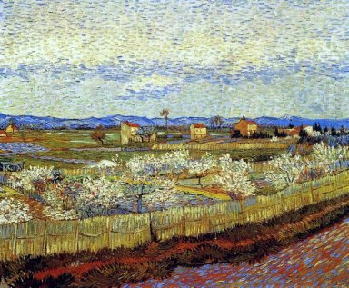 Árvores de pêssego na Blossom 1889