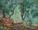 Оливковое дерево древесины в Морено сад