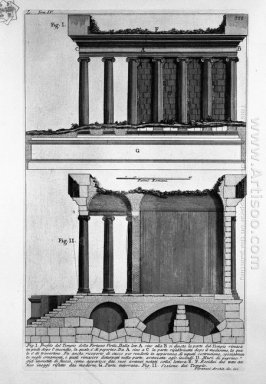 The Roman Antiquities T 4 Plat L Vista Of The Menagerie Of Liar