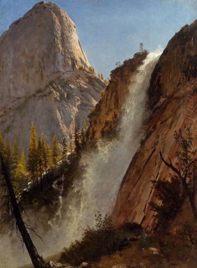 свобода камерой Yosemite 1873