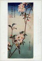 Liten fågel på en gren av Kaidozakura 1838