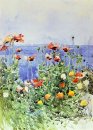 Poppies Isole Shoals 02