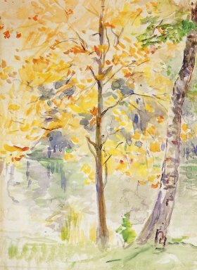 Fall Colors В Булонском лесу