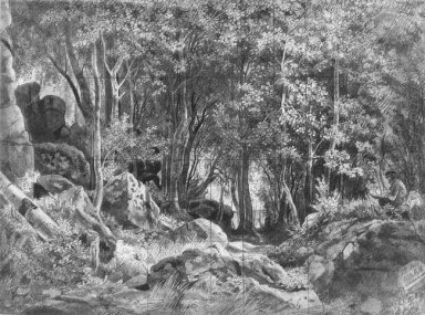 Walaam Wald auf den Felsen 1859