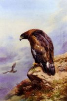 Ein Golden Eagle