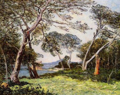 Os pinheiros do Ile St Morah 1912