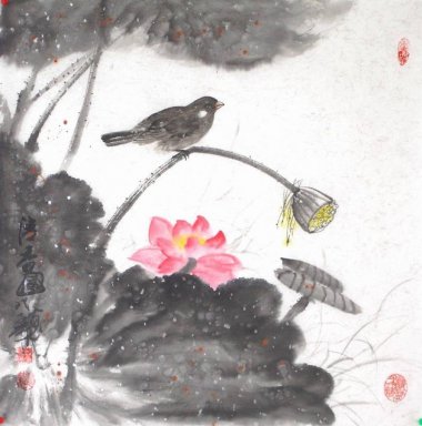 Lotus & Birds - Pittura cinese