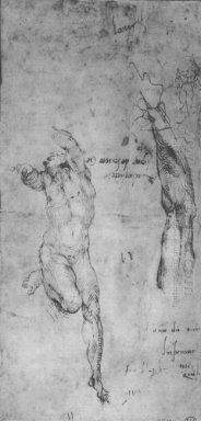 Desnudo masculino y el brazo del hombre barbudo 1504