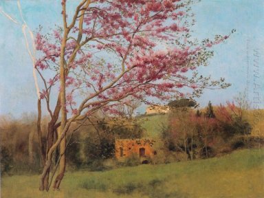 Landscape: Blossoming Red Almond (study)