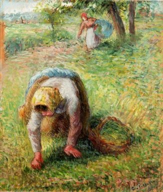 bönder samla gräs 1883