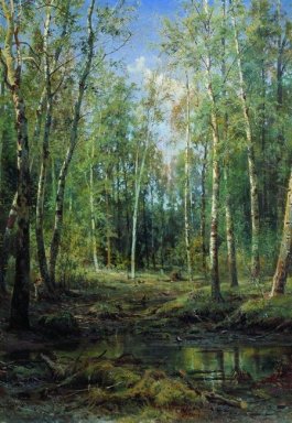 Birch Grove 1875