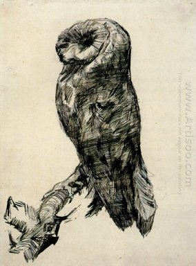 Barn Owl visto de lado 1887
