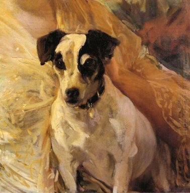 Portrait d\'un Jack Russell 1909