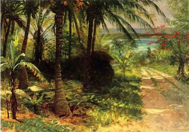 paisagem tropical