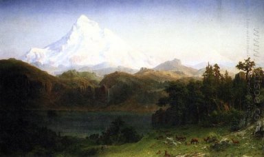 Mount Hood Oregon 1865 ein
