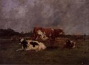 Cows In Pasture