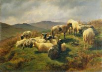 Moutons dans les Highlands