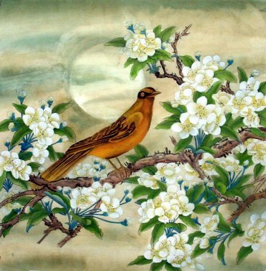Pear & Birds - Peinture chinoise