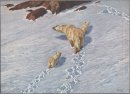 Polar bear family