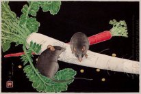Japanischem Rettich, Ratten, und Root