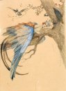 Blauwe Bird Bird Sirin