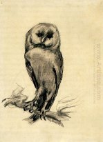 Barn Owl visto de frente 1887