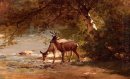 Deer, dans un paysage