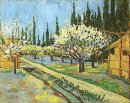 Orchard I Blossom Kantad av cypresser 1888