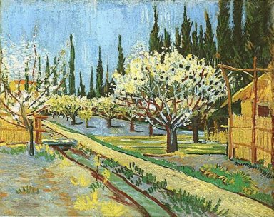 Orchard I Blossom Kantad av cypresser 1888