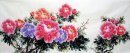 Peony - Pittura cinese