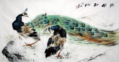 Peacock - Peinture chinoise