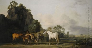 Brood Mares And Foals