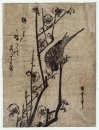 Plum Blossom Dan Bush Warbler 1838