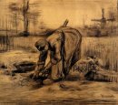Femme rurale levage pommes de terre 6 1885